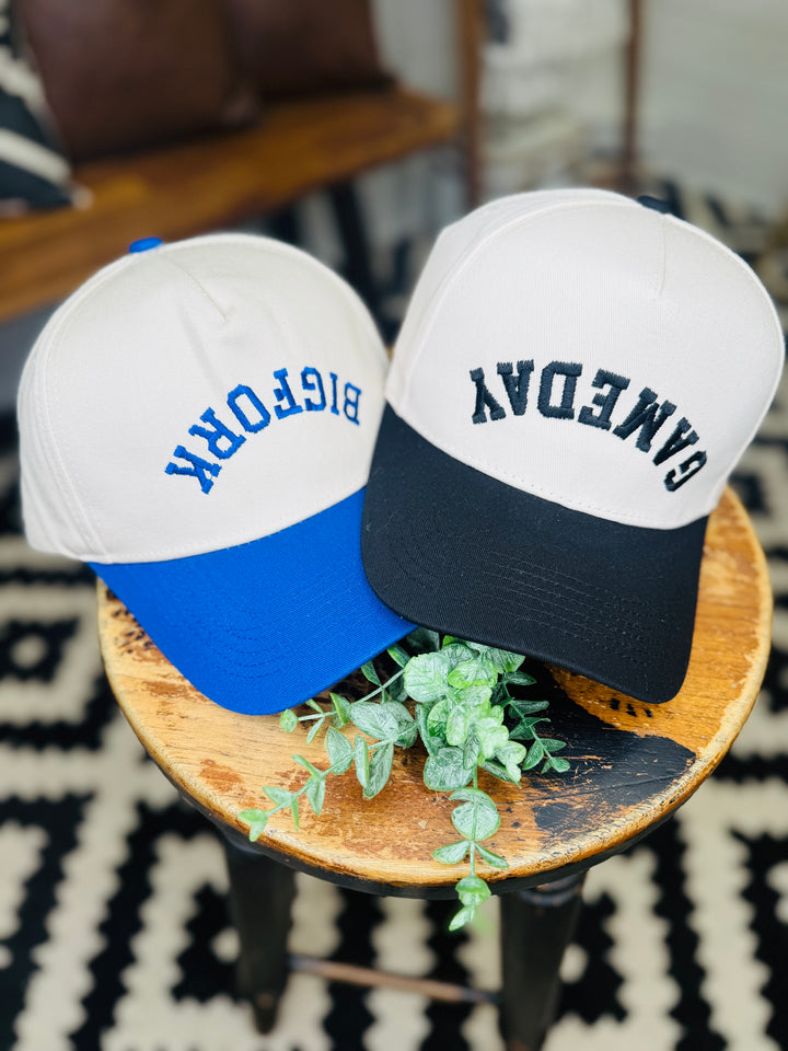 Inverted Embroidered GameDay Hats: 2 Options